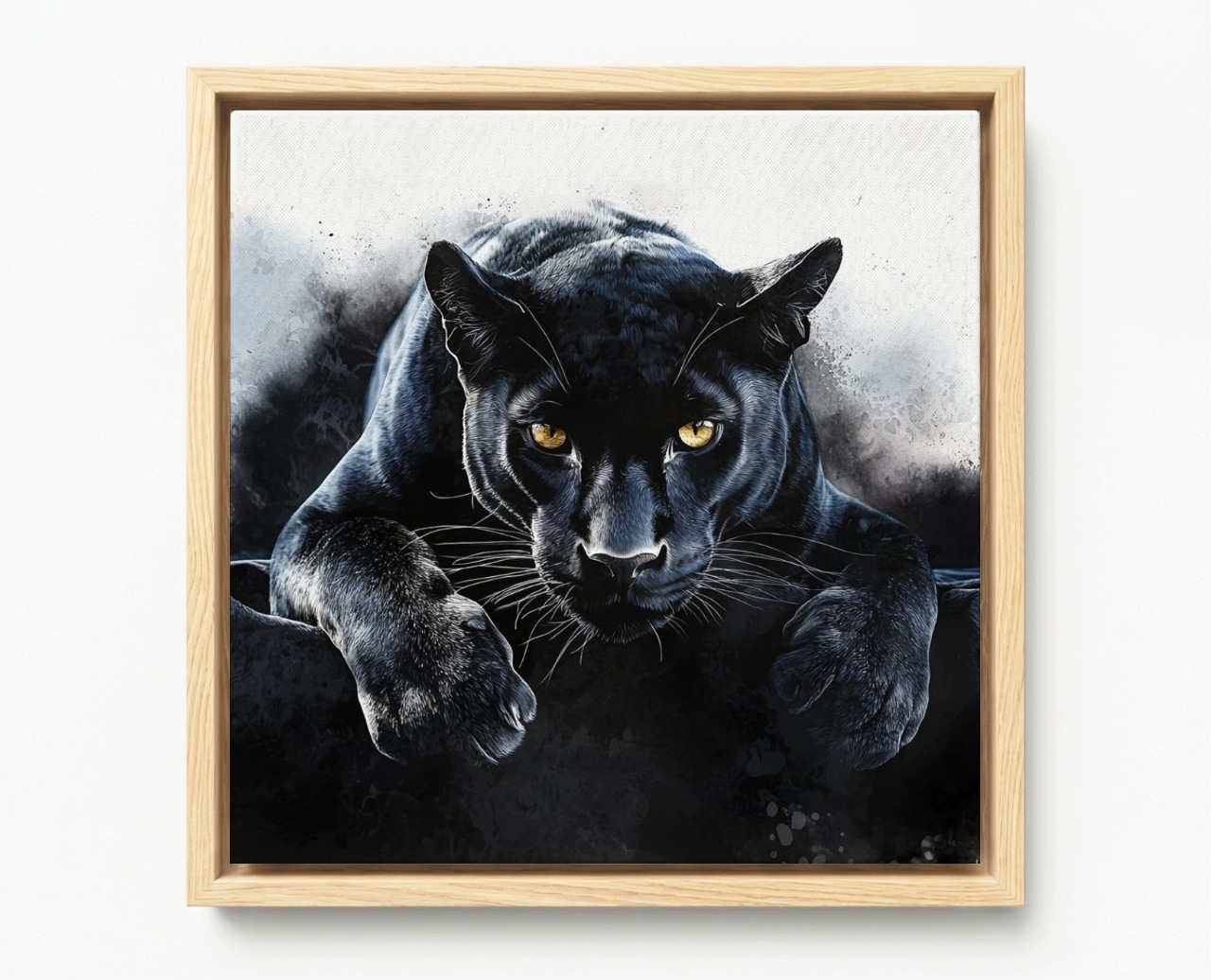 Obraz Rám Americká Krabička Příroda Portrét Černá Kočka Puma Drapieżnik 60x60