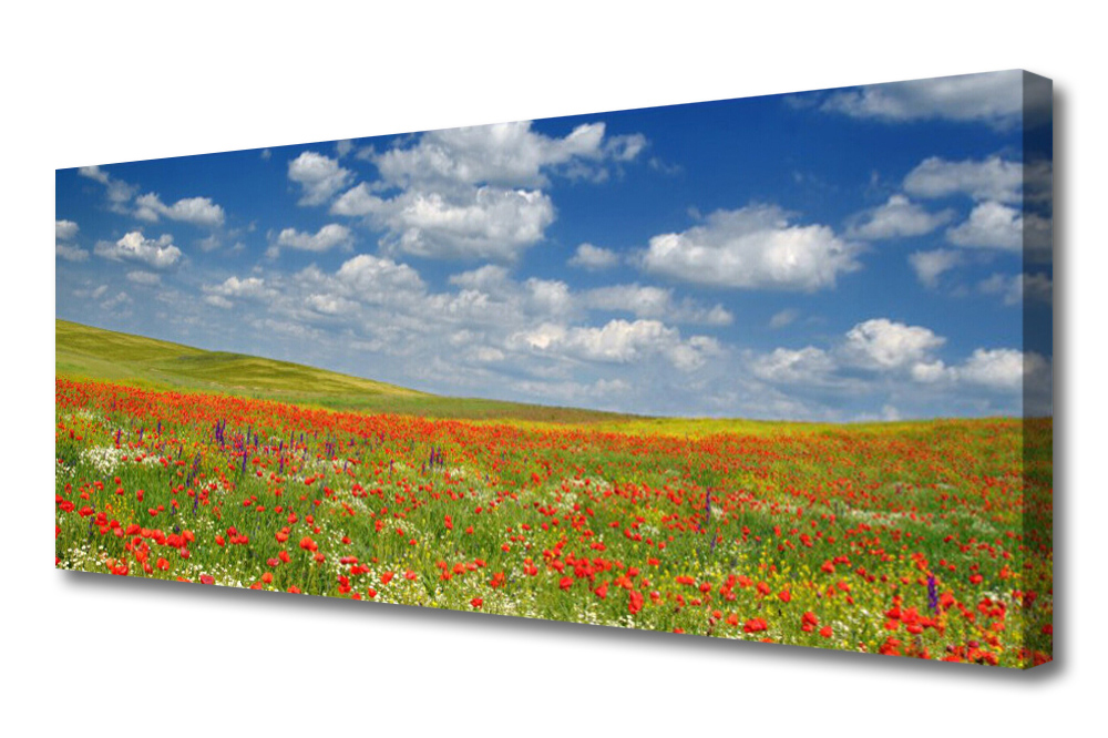 obraz na plátně Louka Květiny Krajina 125x50