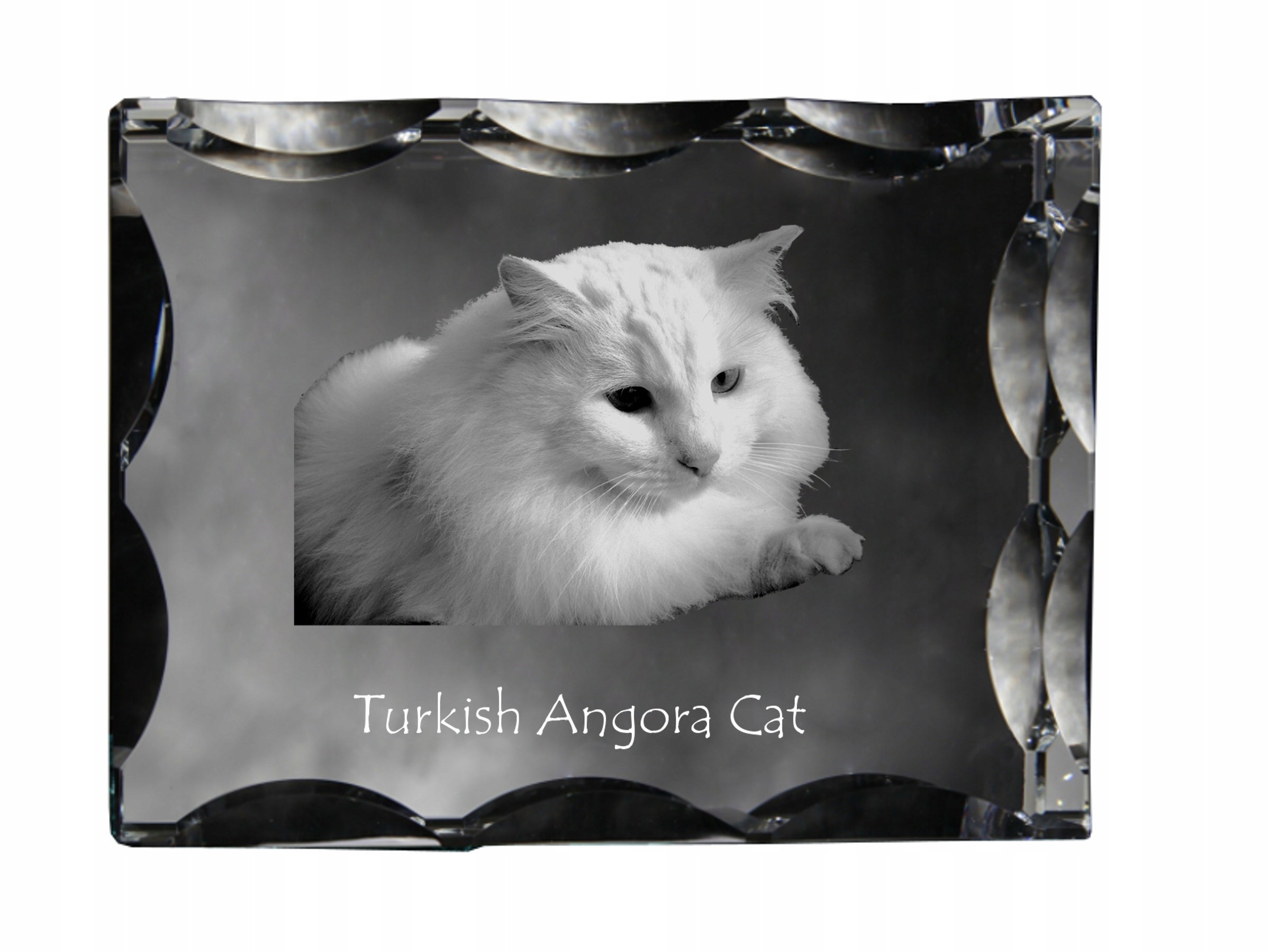 Turecká angora mačka, fotografia v ozdobnom kryštáli, suvenír, dekorácia domu