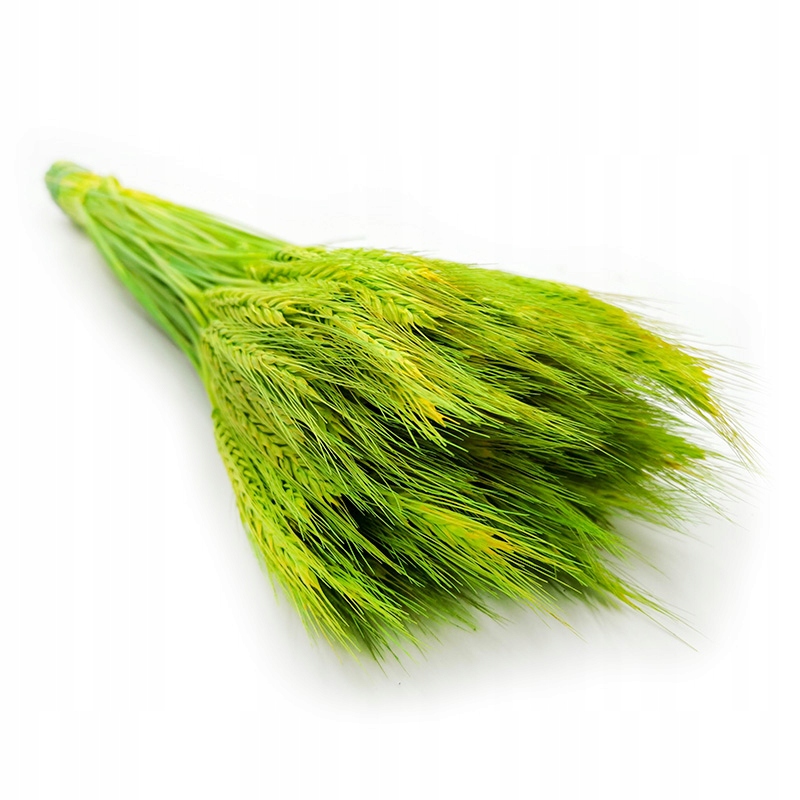 

Pszenżyto Extra Zielone zboże suszone kłosy 160g