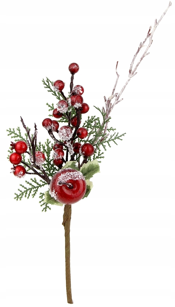 

Gałązka świąteczna zimowa dekoracja czerwone elem