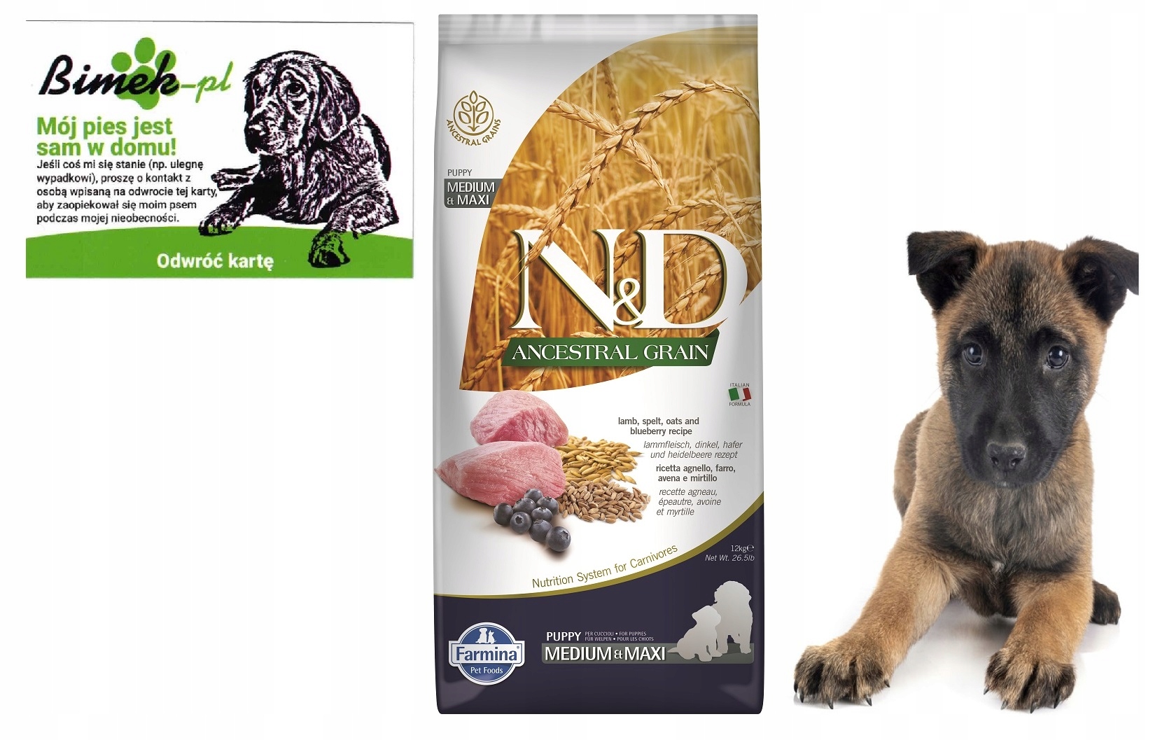 Nd Farmina Ancestral Lamb Medium Maxi Puppy 12kg wizytówka "mój pies"