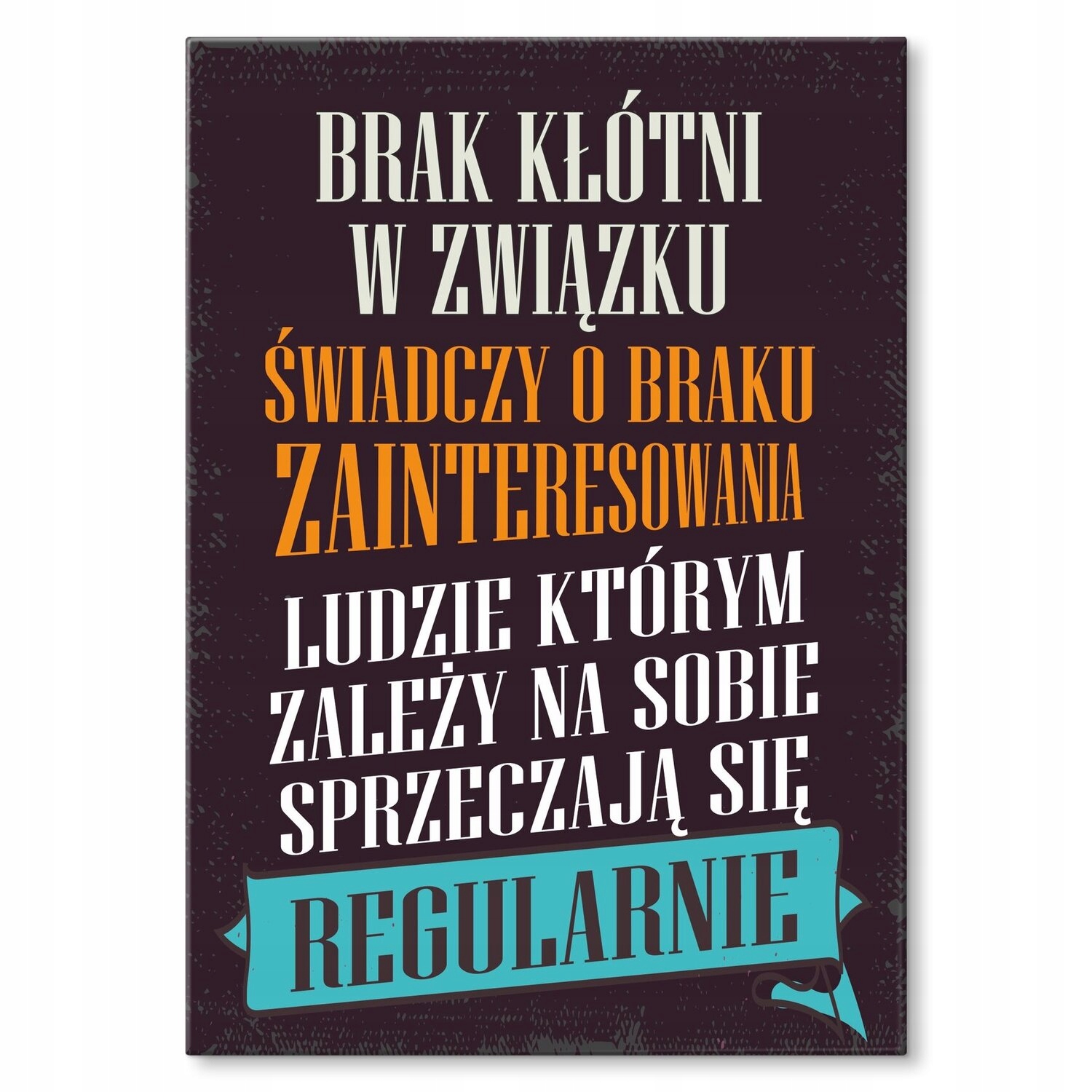Kovový plakát bez hádky Štítek Plech 30 x 42 cm Dárek