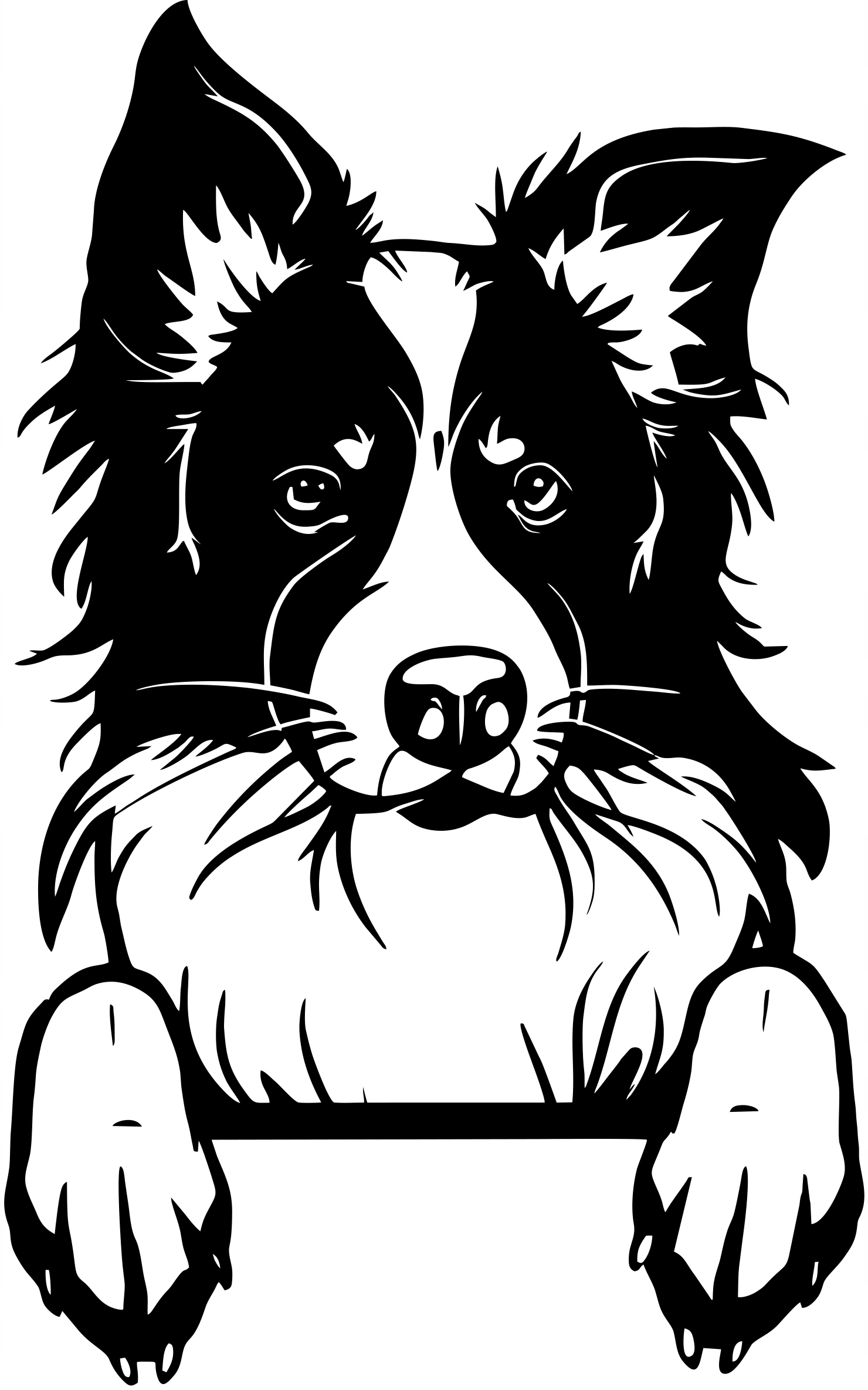 

Naklejka Border Colie Pies Dog 20x12,5 cm kolor