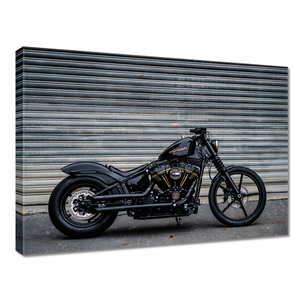 

Obraz 70x50 Harley Davidson Motor