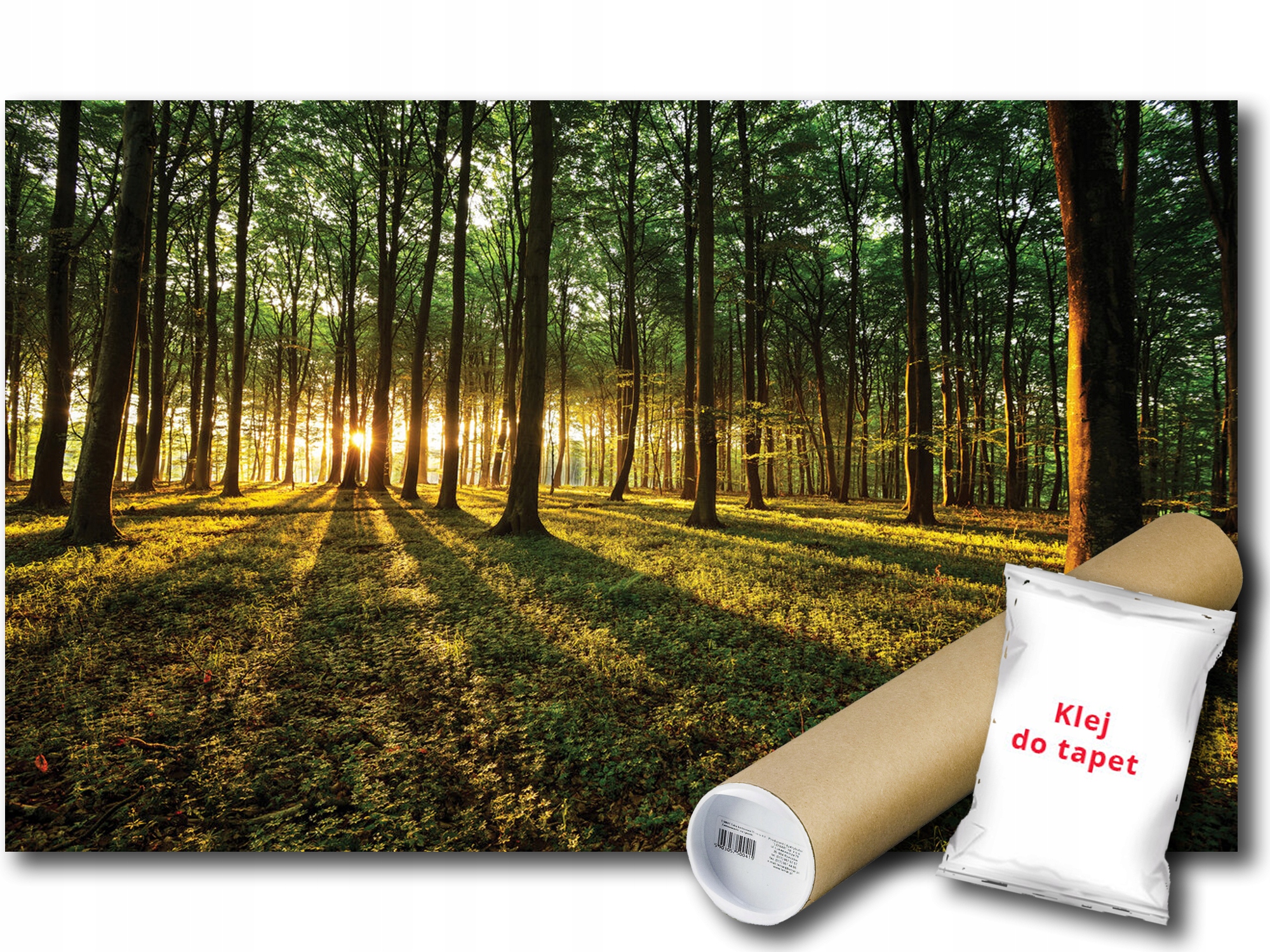 Vinylová Fototapeta Plenér Krajina Les Stromy Slnko 254x184