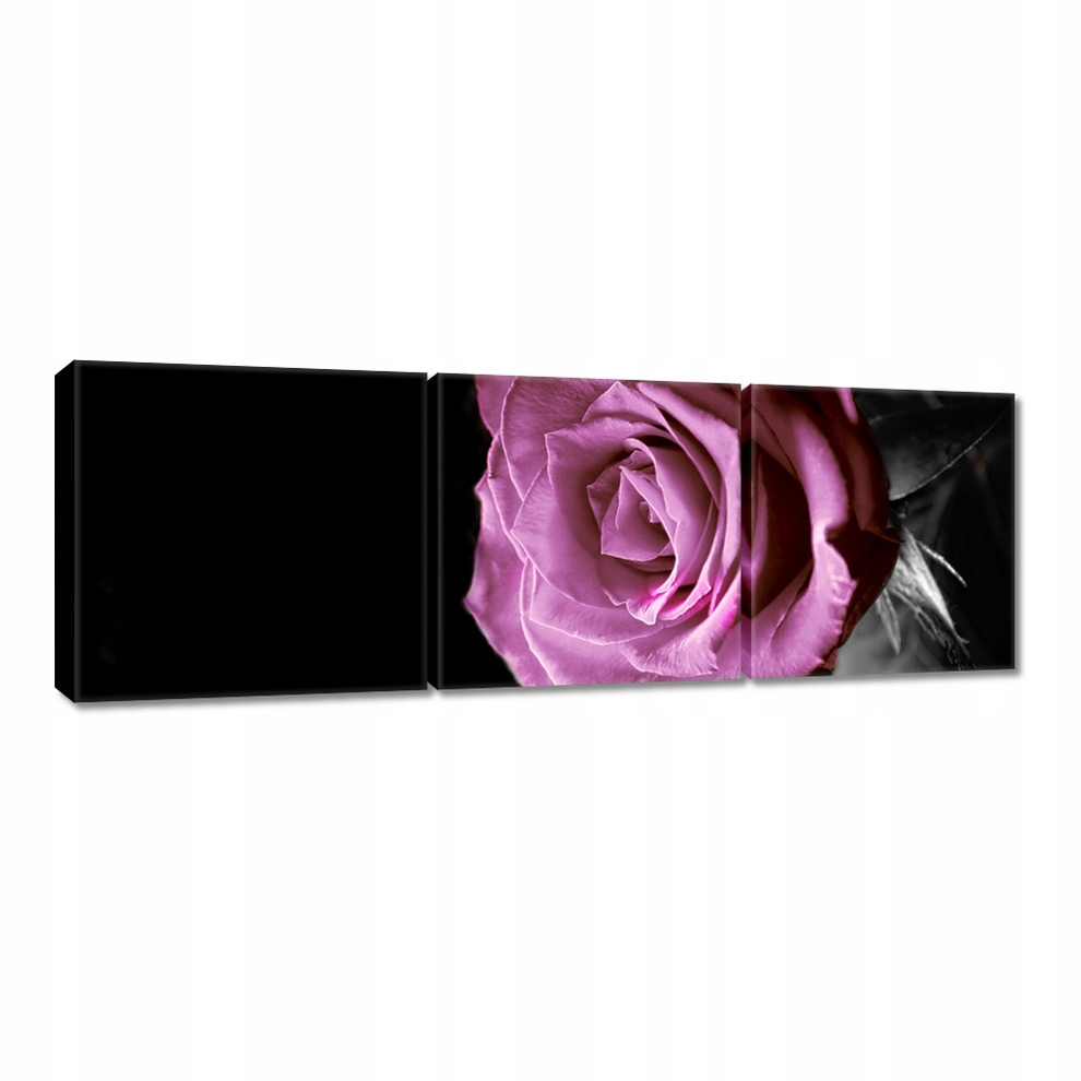 

Obrazy 120x40 Fioletowa róża
