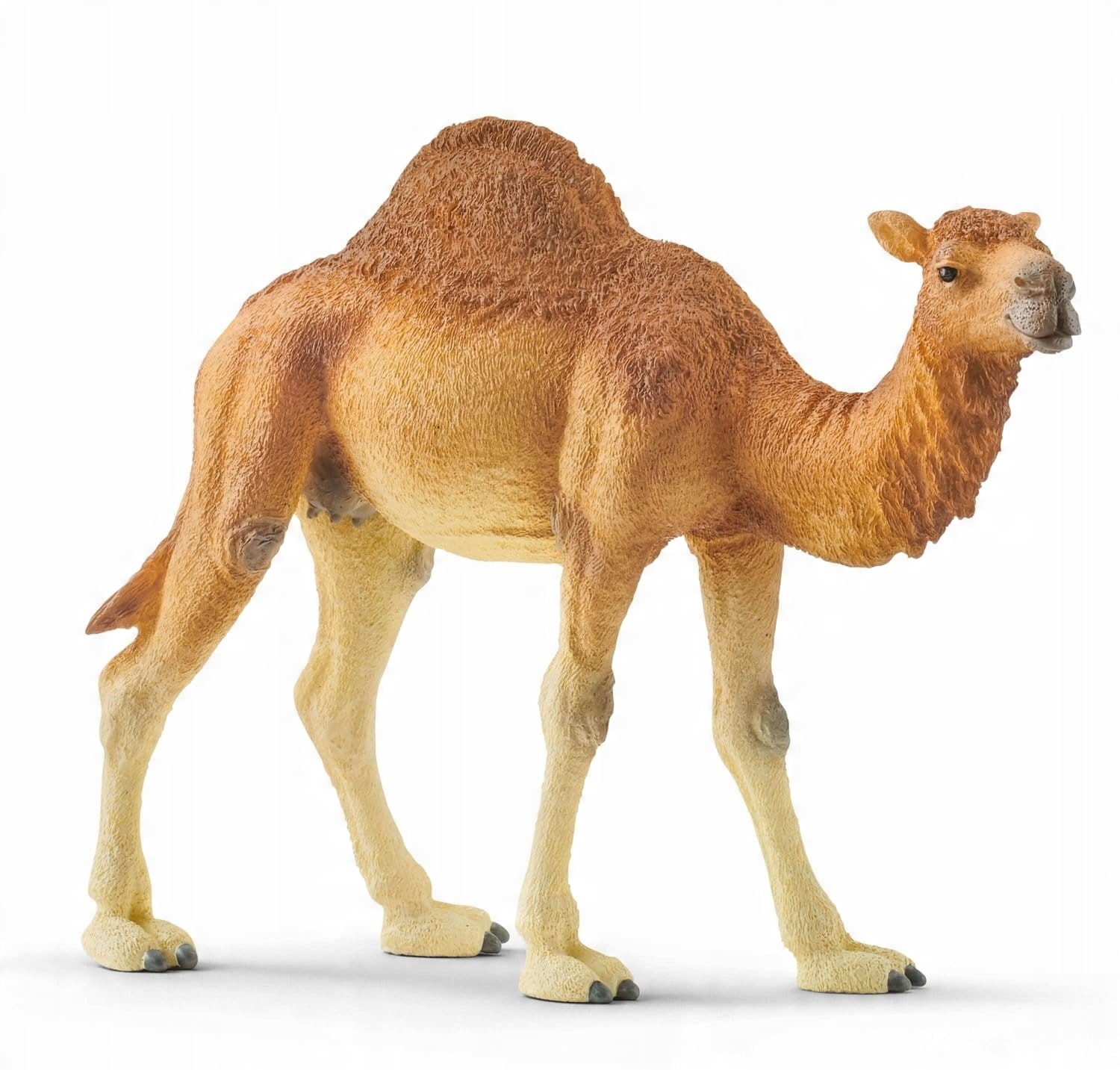 

Schleich 14832 Dromader