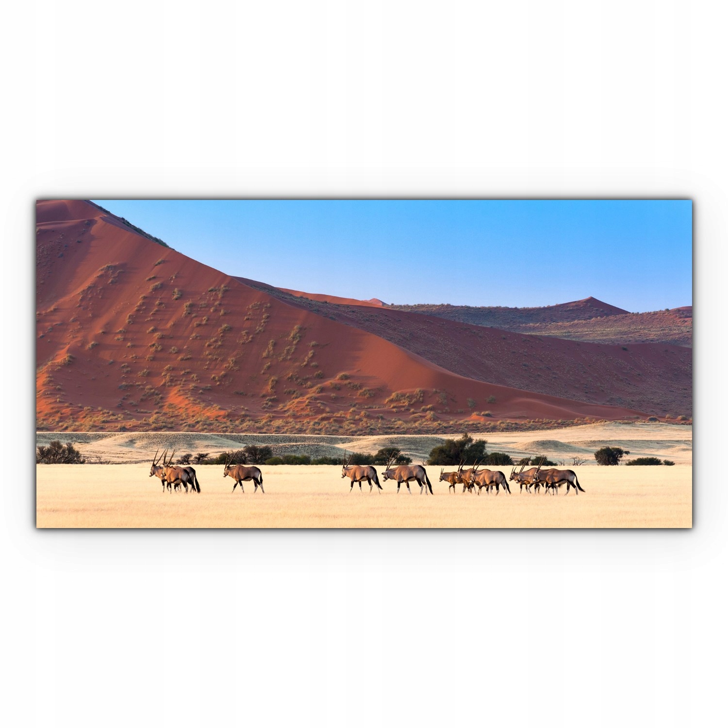

Obraz płótno canvas 140x70 Zwierzęta Safari Natura