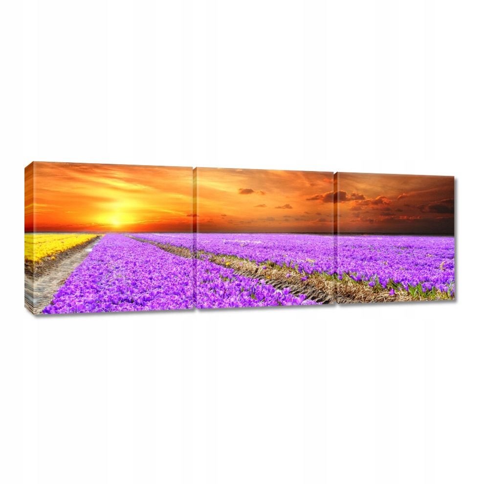 

Obrazy 150x50 Morze krokusów
