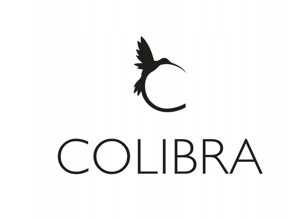 Kolczyki Złote Serduszka dla Dziewczynki Małe Czerwone Serca Sztyft Colibra Marka Colibra