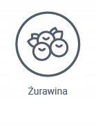 Vetexpert UrinoVet Cat 45 kapsułek TwistOff Nazwa handlowa UrinoVet Cat