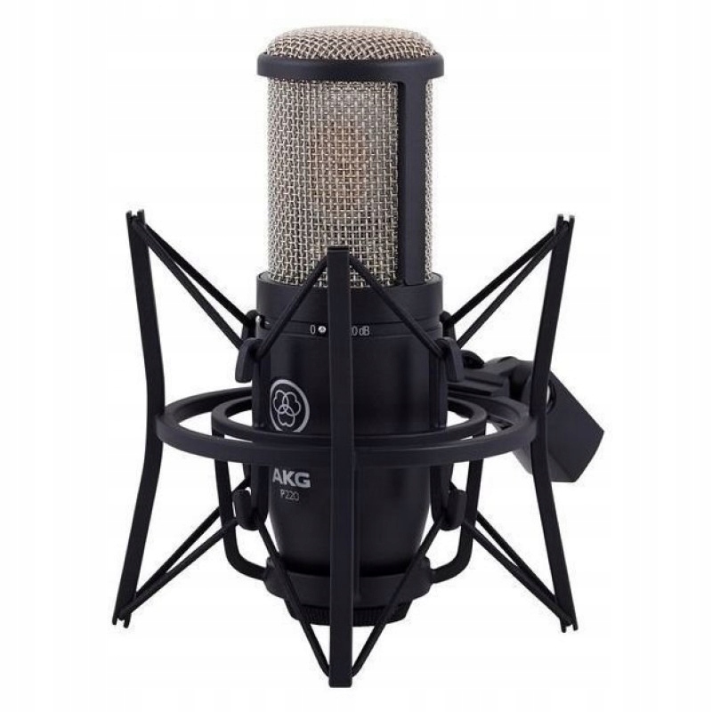 Akg P220