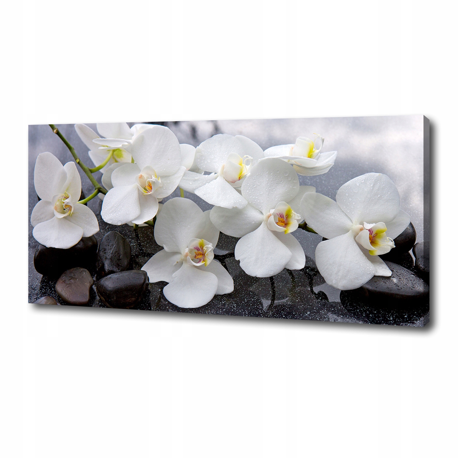 

Foto obraz canvas na ścianę Orchidea 125x50 cm