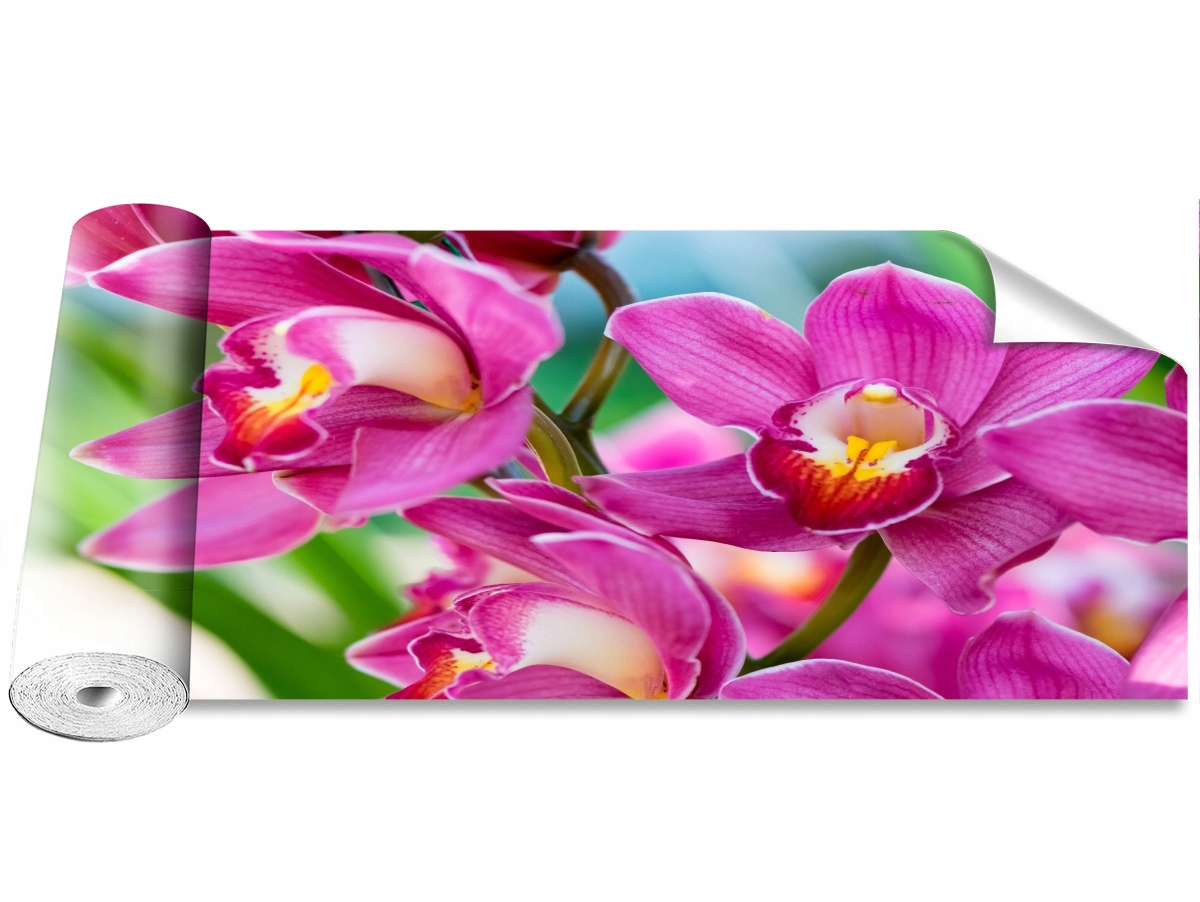 

Tapeta Samoprzylepna Różowe orchidee - 250x104