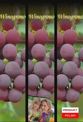 Виноград розовый Рассада в картонной коробке