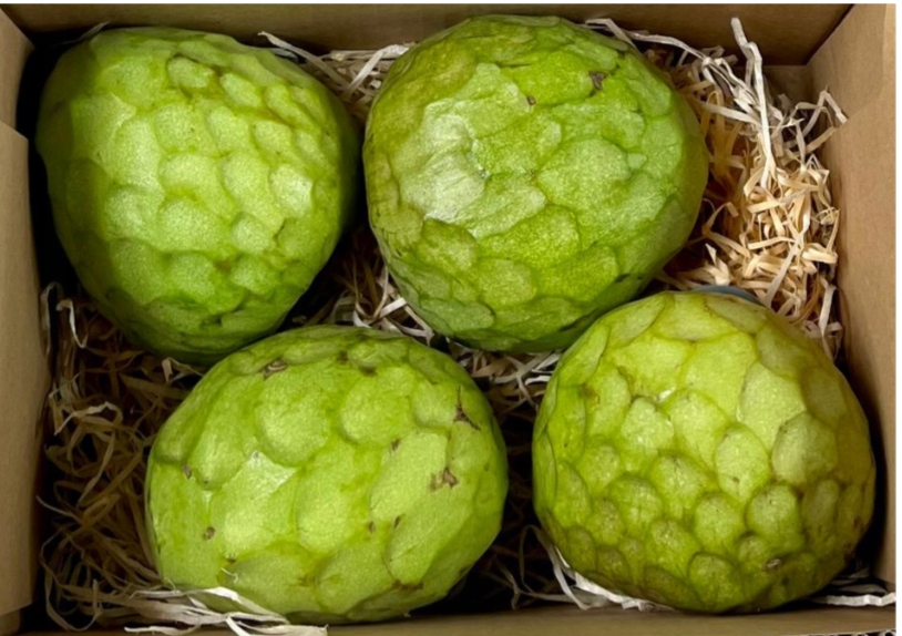 Box Cherimoya (cukrové jablko) – 4 ks