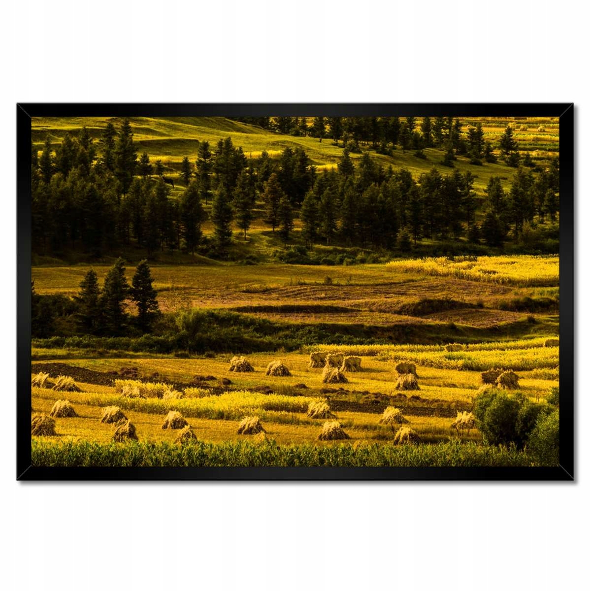 Plakáty v rámu 60x40 Krajina Pohled