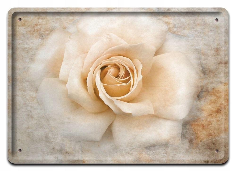 Kwiaty Plakat Metalowy Szyld Retro Vintage #11228