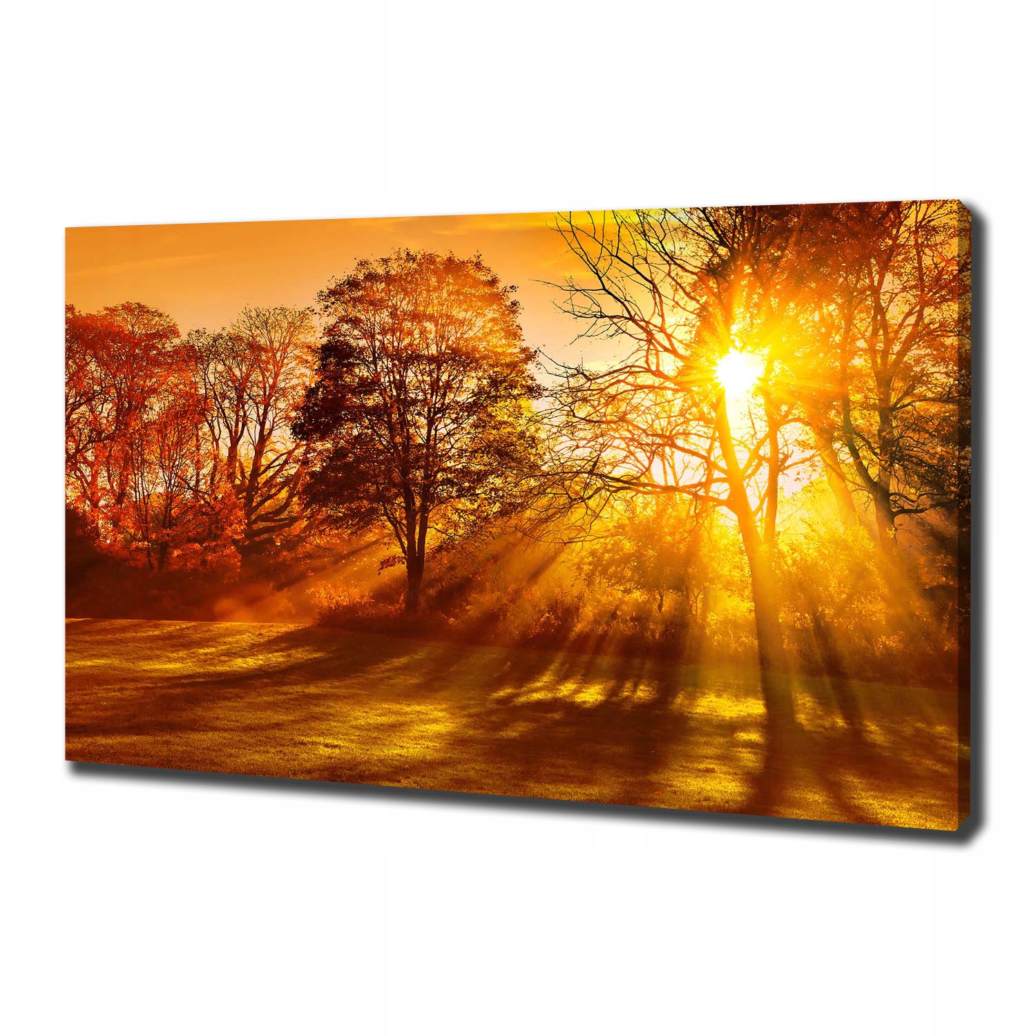

Foto obraz na płótnie Zachód słońca 100x70 cm