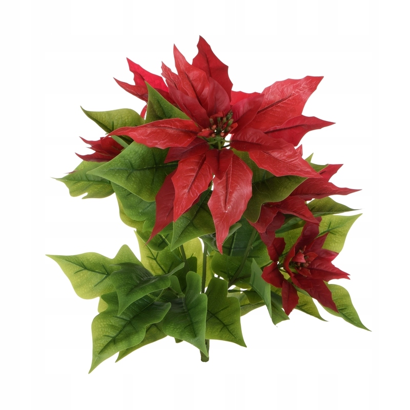 

Sztuczna Gwiazda Betlejemska bukiet 60 cm x1szt