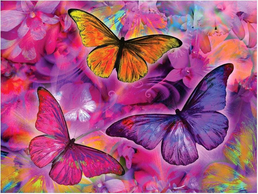 

Obraz Malowanie Po Numerach Na Krośnie Z Ramą