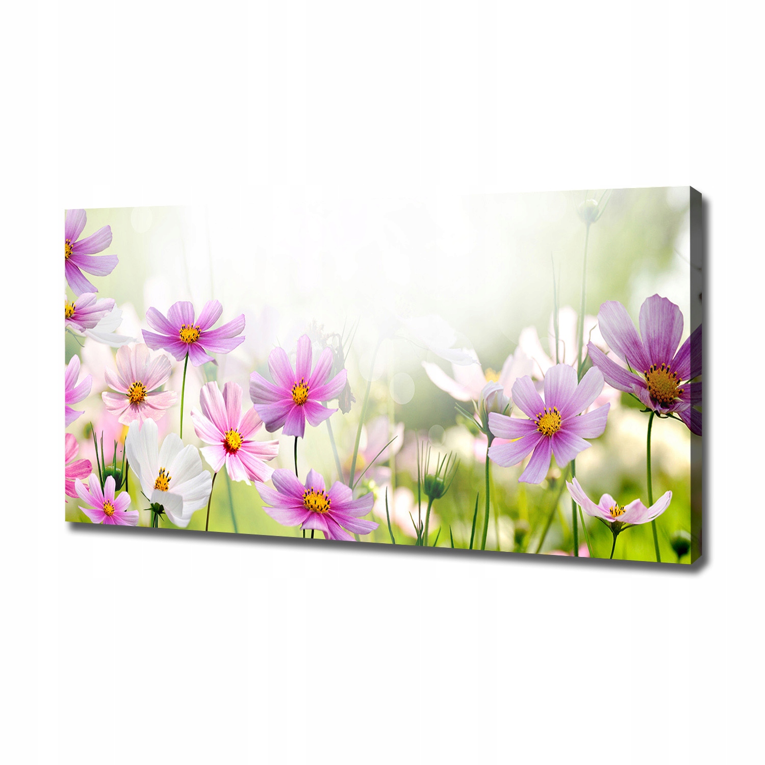 

Foto obraz na płótnie Kwiaty na łące 120x60 cm