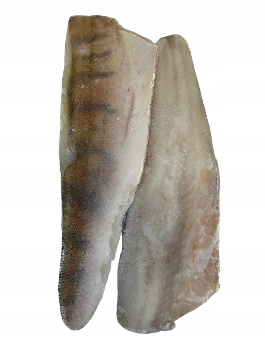 Sandacz Filet Z Sandacza Ze Skórą 2kg Mrożony