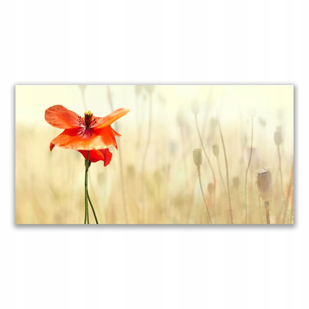 

Obraz akryl z grafiką 120x60 Maki Roślina Natura