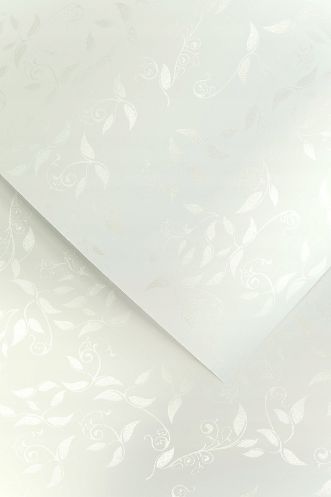 

Papier ozdobny wizytówkowy Liana biała 100g 10ark