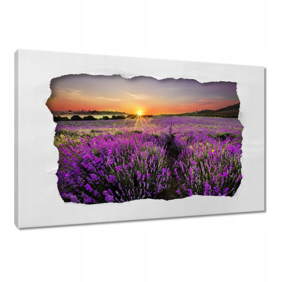 Obrazy 120x80 Pole levandule Západ