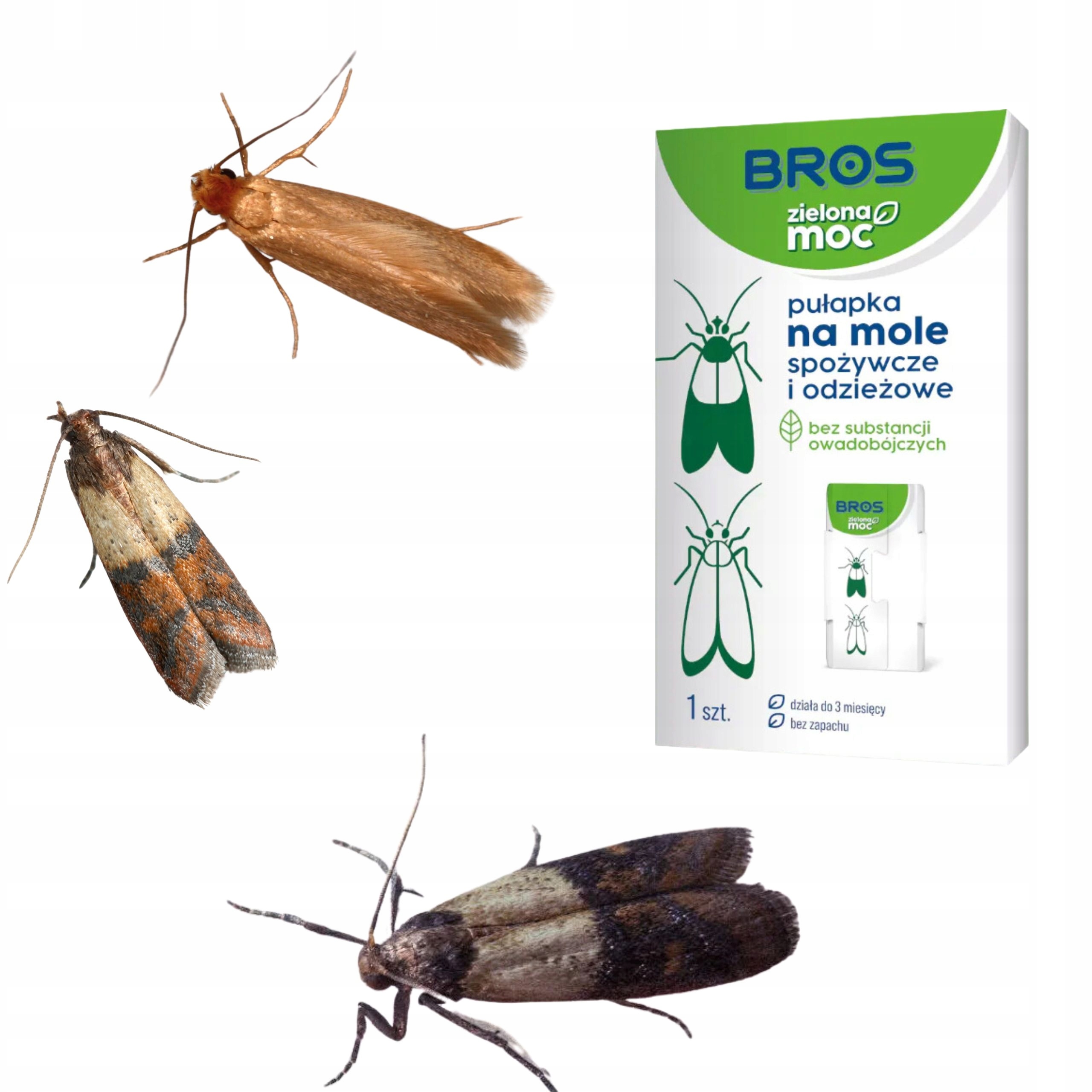 BROS ZIELONA MOC PUŁAPKA NA MOLE SPOŻYWCZE ODZIEŻOWE LEP BEZ CHEMII 1SZT. Stan opakowania oryginalne