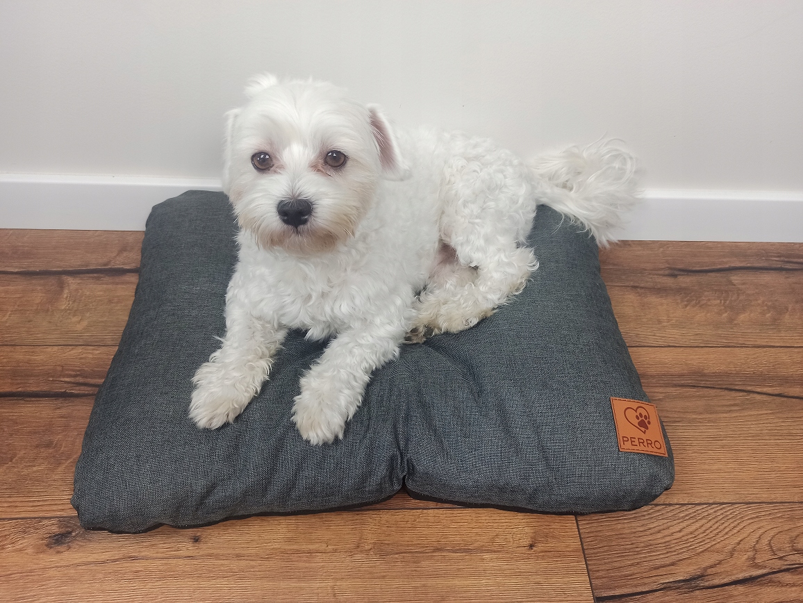 Levně Pelíšek matrace do psího pelíšku 60x45 Perro