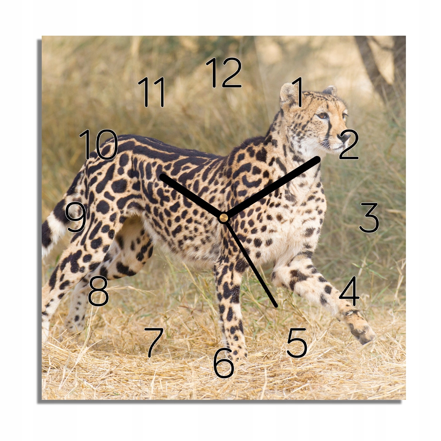 

Gepard królewski zegar szklany do kuchni 30x30