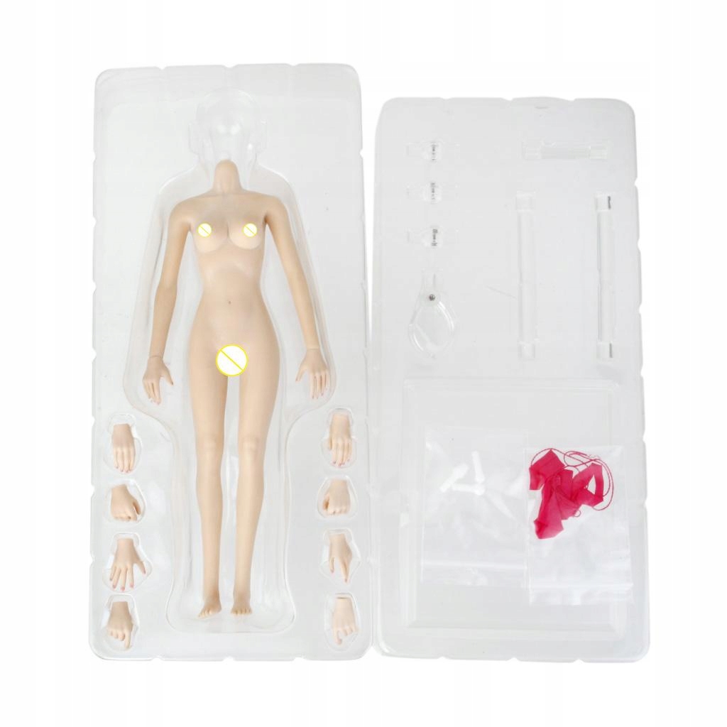 Skala 1/6 Małe popiersia Body Rubber Normal