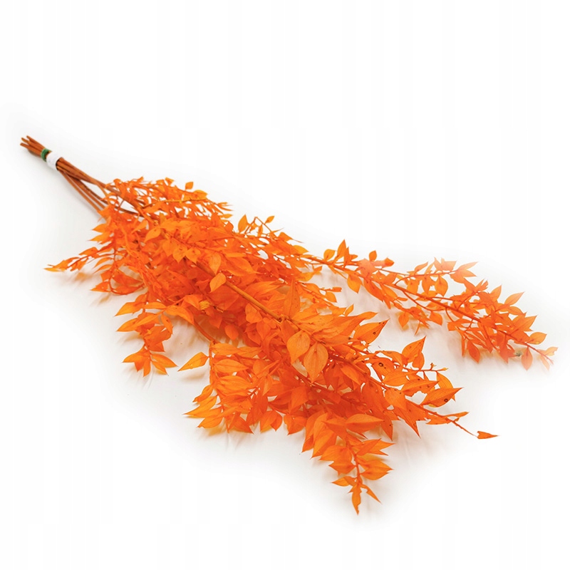 

Ruskus stabilizowany pomarańczowy bukiet