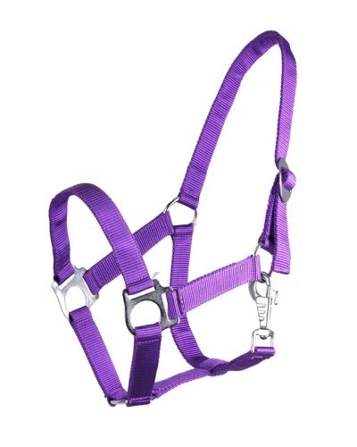 Qhp kantar Slide Pony fioletowy