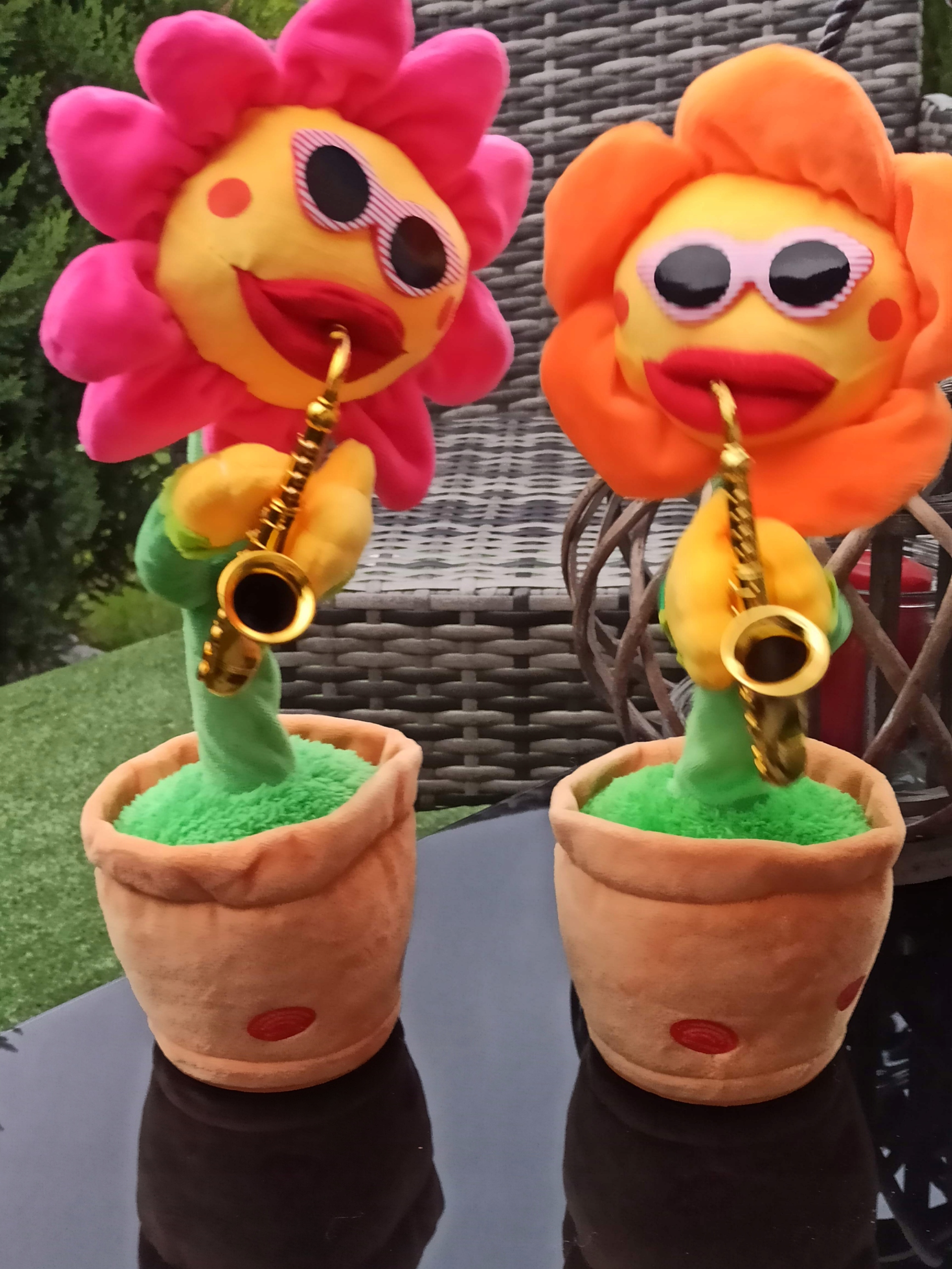 ŚPIEWAJĄCY TAŃCZĄCY KWIATEK SŁONECZNIK JAK KAKTUS Wiek dziecka 0 +