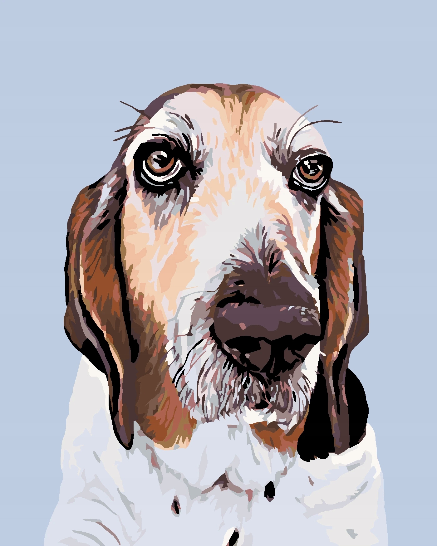 Zuty Malování podle čísel 40x50 cm na rámu, M10-040-050-76422