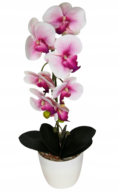 

Storczyk Sztuczny Storczyki Orchidea Kwiat Kwiaty