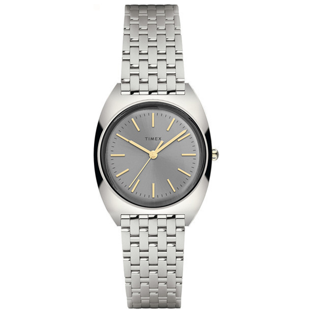 Dámské hodinky Timex TW2T90300 stříbrné