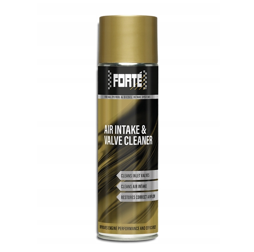 Forte Air Intake & Valve Cleaner 500 ml USUWA NAGAR