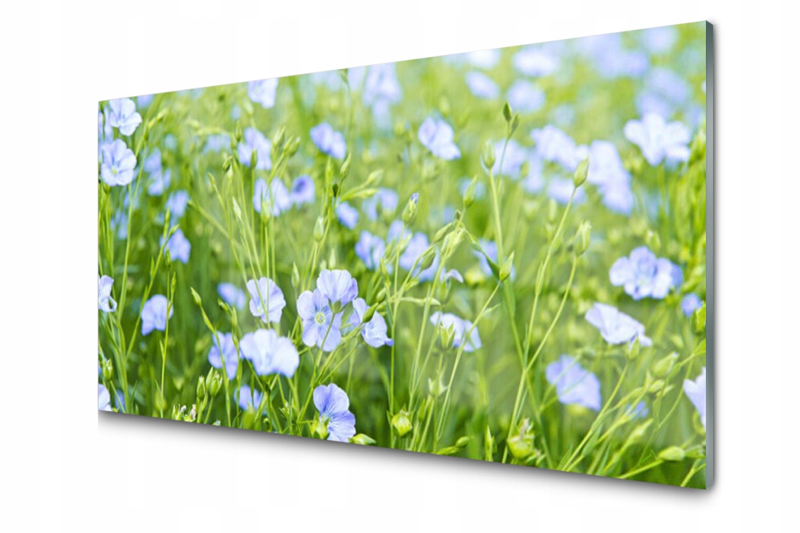 

Panel szklany dekor Kwiaty Trawa 120x60 + Klej