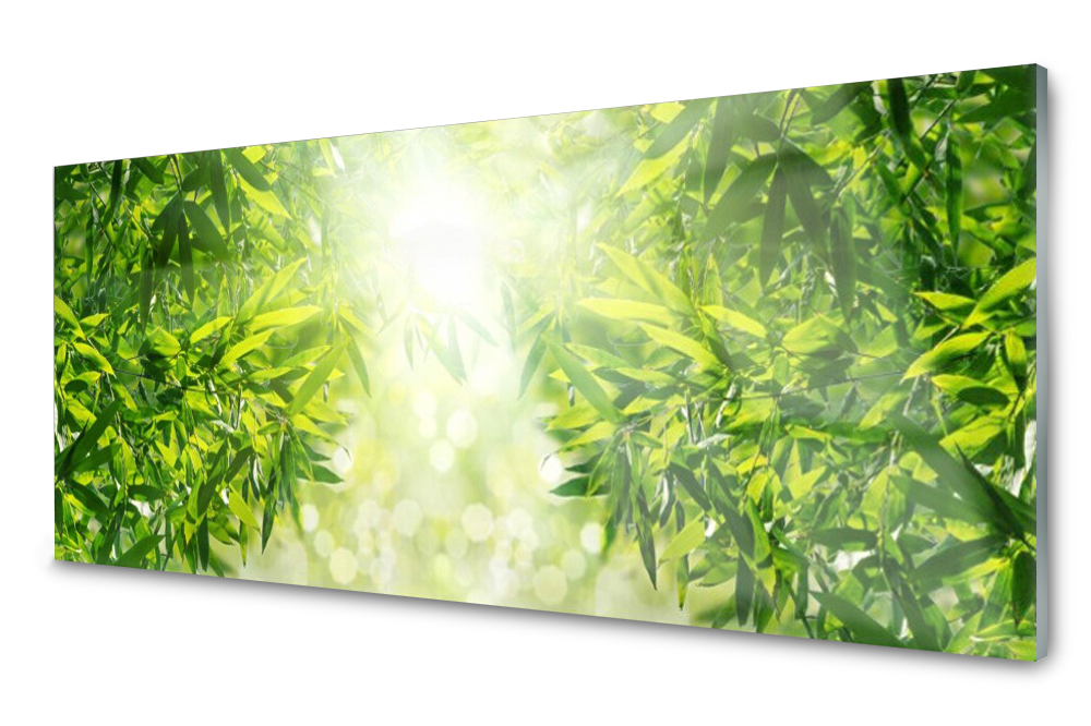 

Panel szklany do kuchni Liście Roślina 125x50