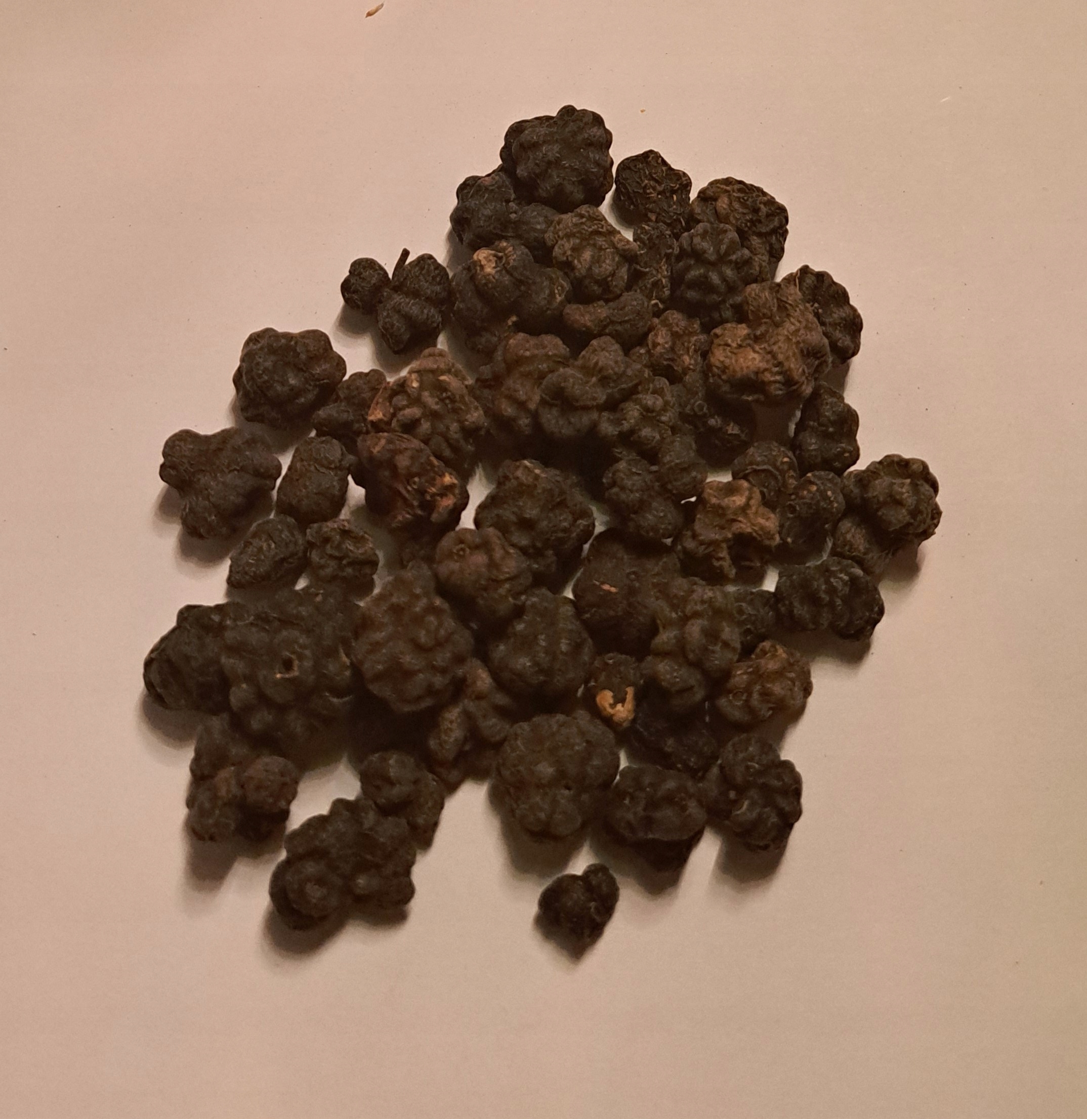 Levně Noni Ovoce 1 kg Rafex