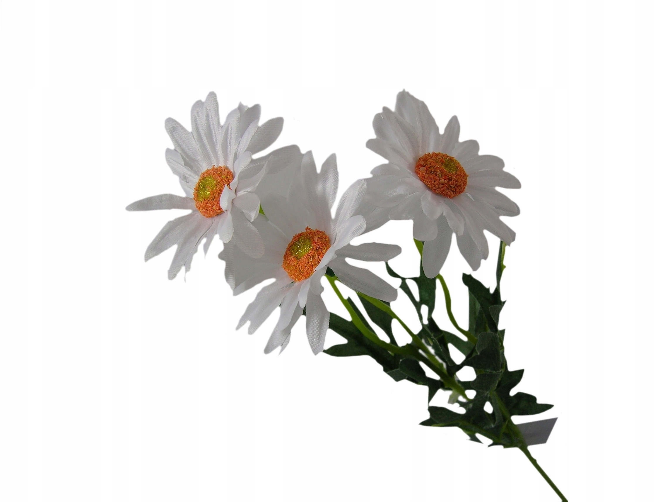 

M. Polne Kwiaty Polne Białe Rumianki Gałązka