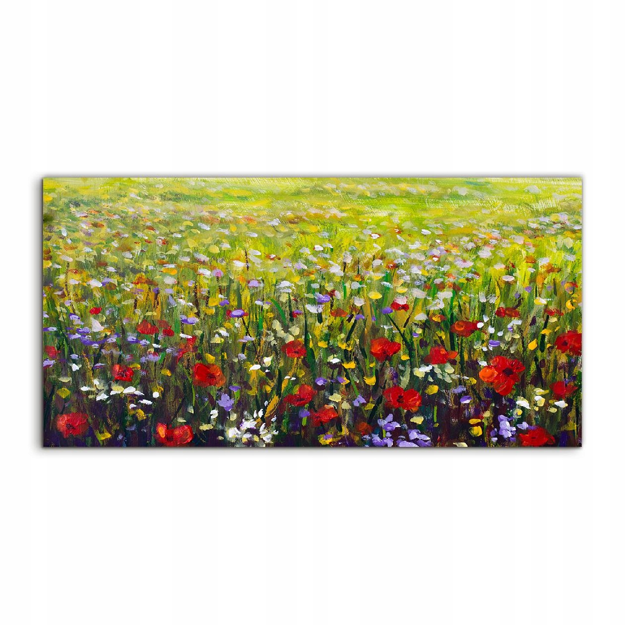 

Fotoobraz 120x60 na ścianę Maki Kwiaty Łąka Pole