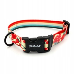 Regulovatelný obojek Fruit Jelly Psiakrew XXL 38-52 cm