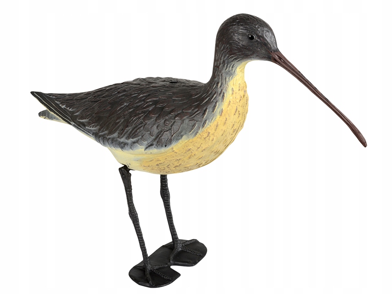 

Kulik wielki do oczka wodnego