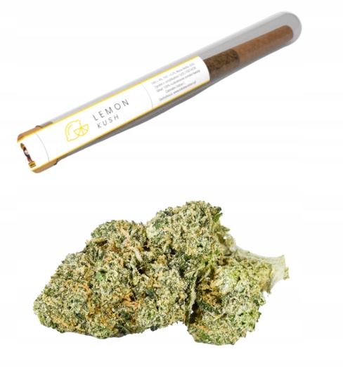 

Joint Skręt Susz Konopny Cbd Mocny Lemon Haze